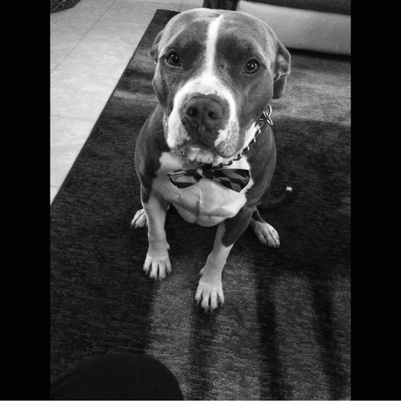 SALE - RAISING MONEY FOR CANCER TREATMENT! - Picture 8 of 12